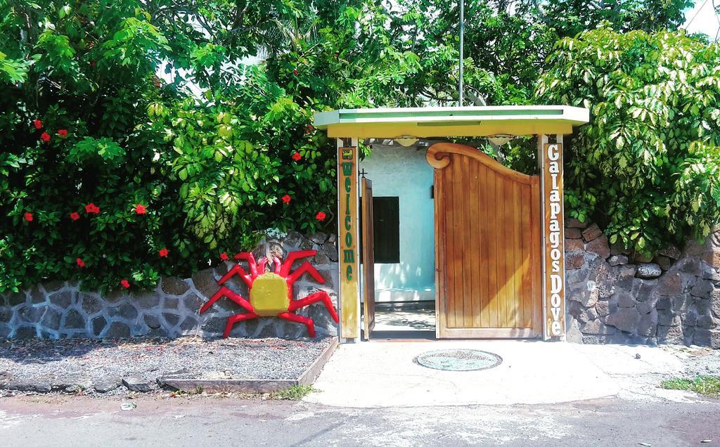 Guest house Galapagos Dove